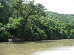 canon del sumidero 4